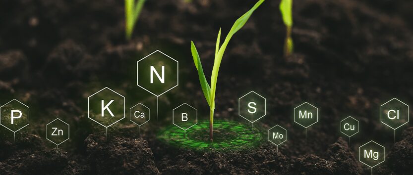 O que são bioinsumos?