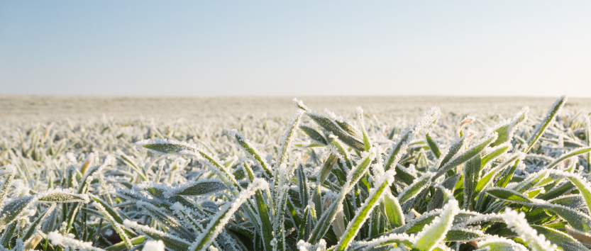 mudanças climáticas