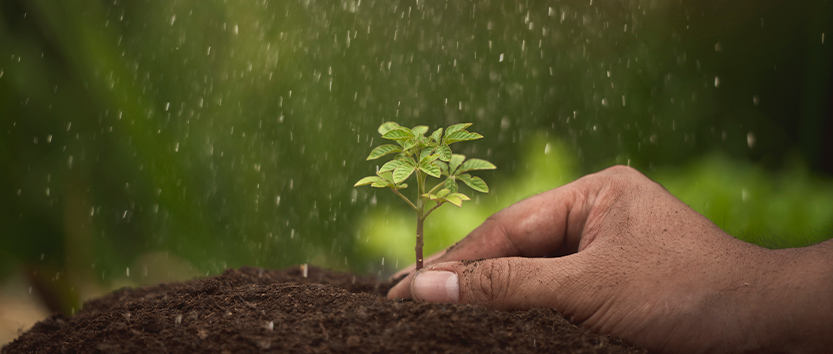 Linhas de financiamento de bioinsumos – 4 opções para aquisição ou produção